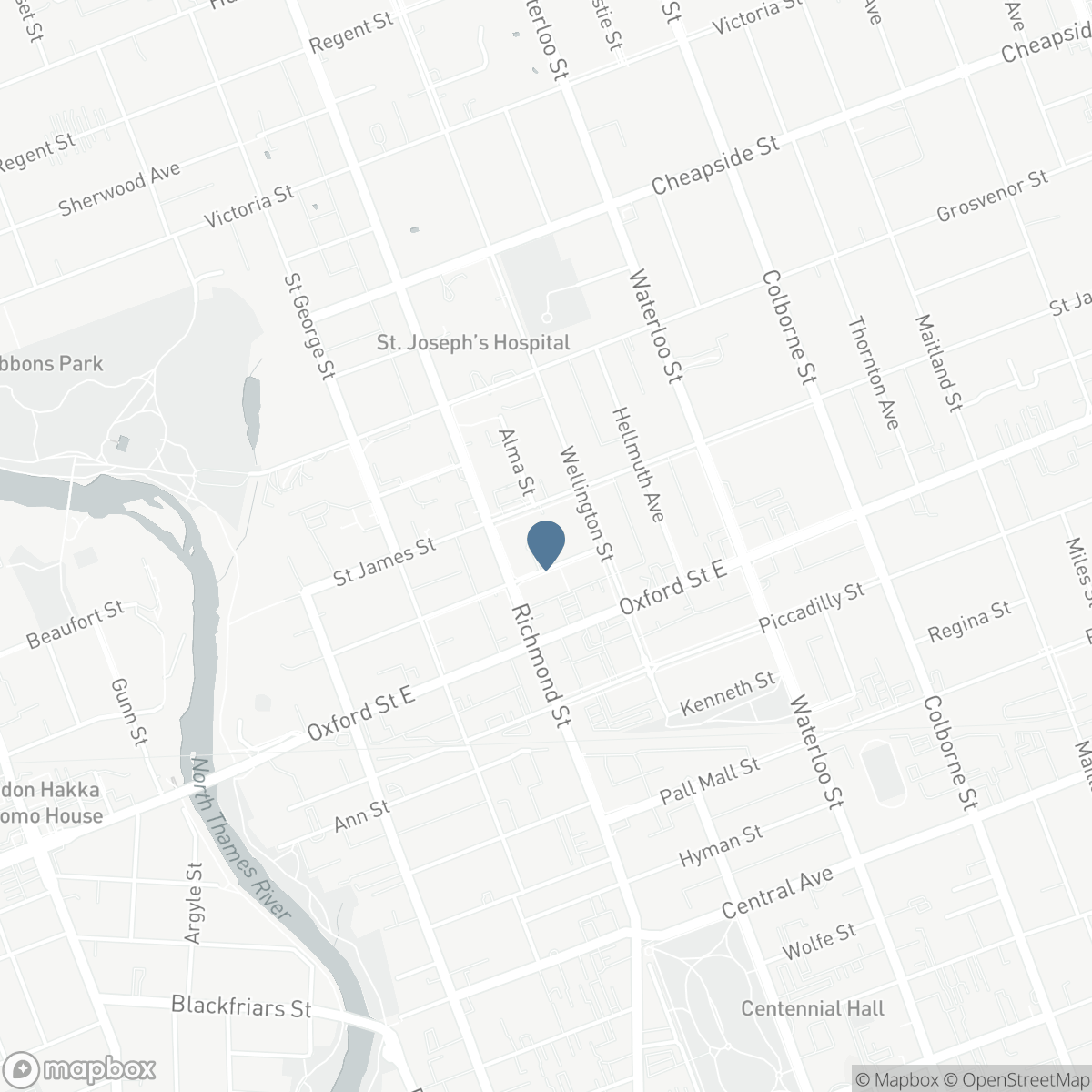 310 - 250 SYDENHAM STREET, London, Ontario N6A 5S1